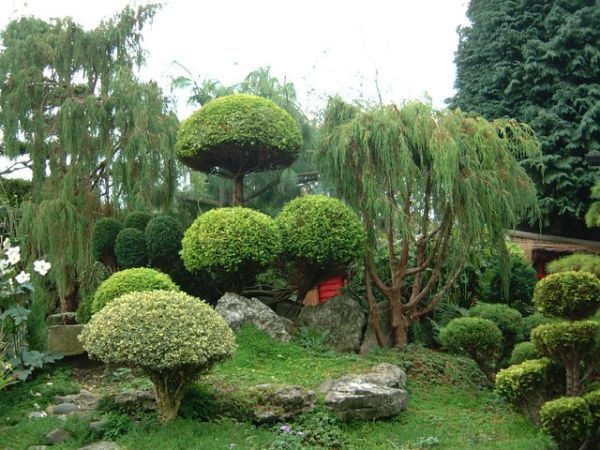 Waterfalls perfect for a Japanese Garden