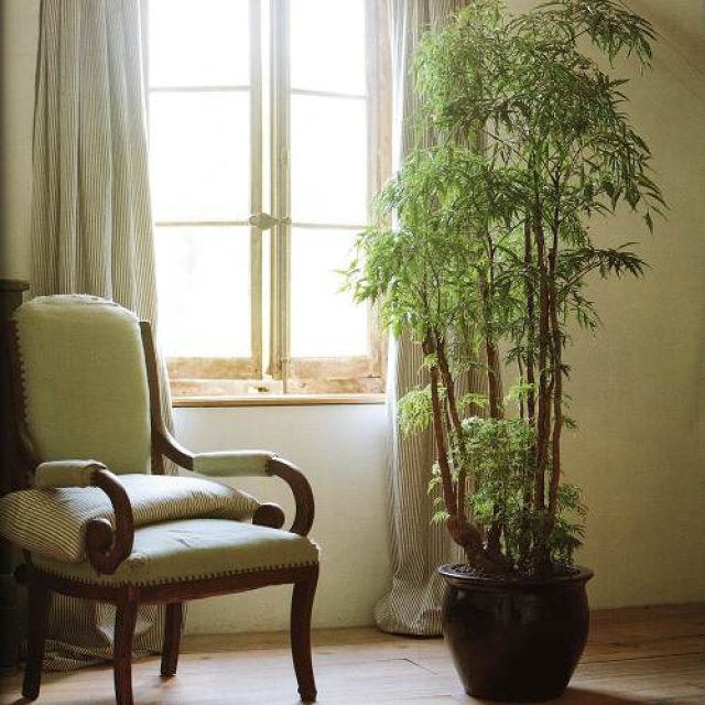 low cost house decor ideas Incorporate Plants Into Your Décor