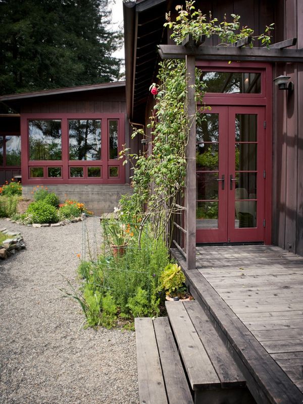 Contemp climbing plants