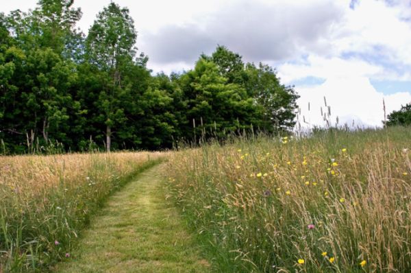 How To Build A Pathway Across A Lawn