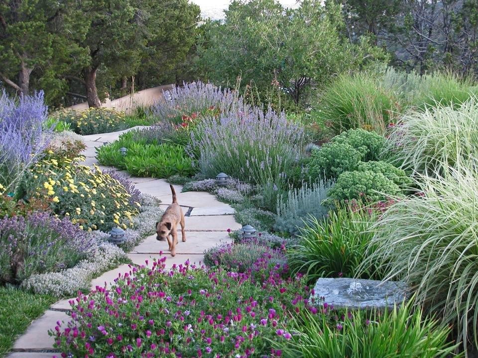 Considerations when planning backyard landscaping