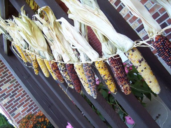 Corn Stalk Garlands