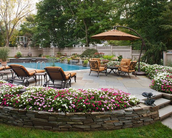 Flowers around swimming pool