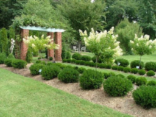 Classic hedge country backyard