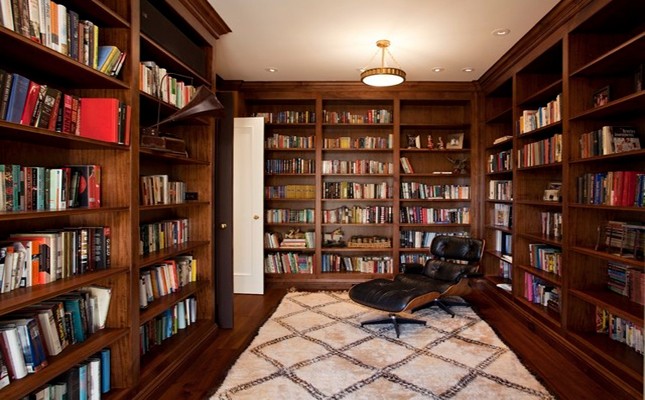 Eames lounge chair living room