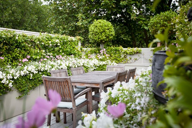 Urban small narrow garden brilliant skylight