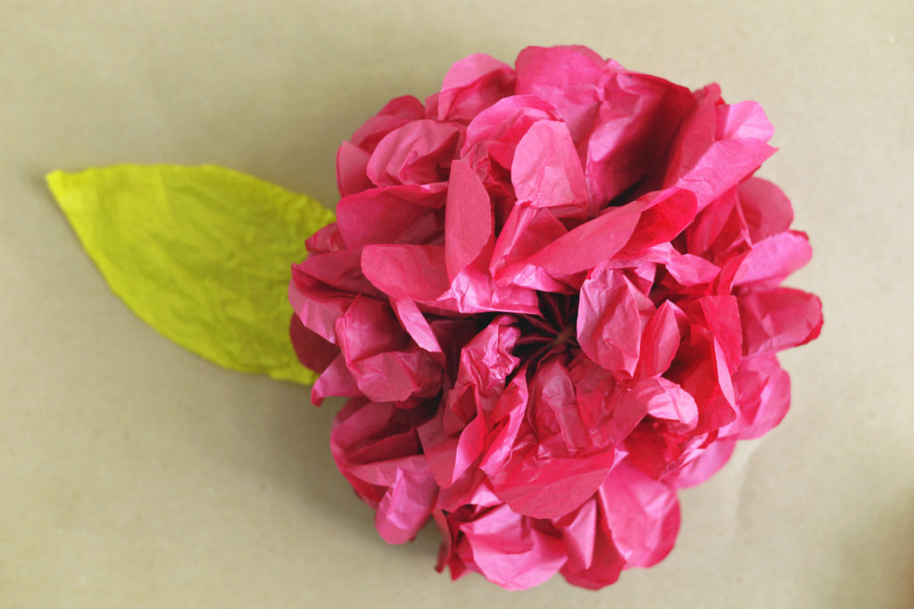 Tissue paper flower backdrop 1024x683