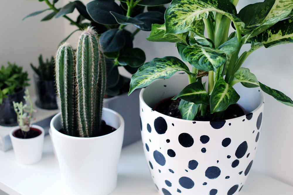 Dalmatian Spotted Planter