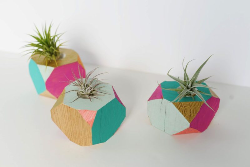 View of DIY Colorful Wooden Planters With A Geometric Shape