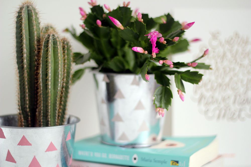 DIY Chrome patterned Planter Step8