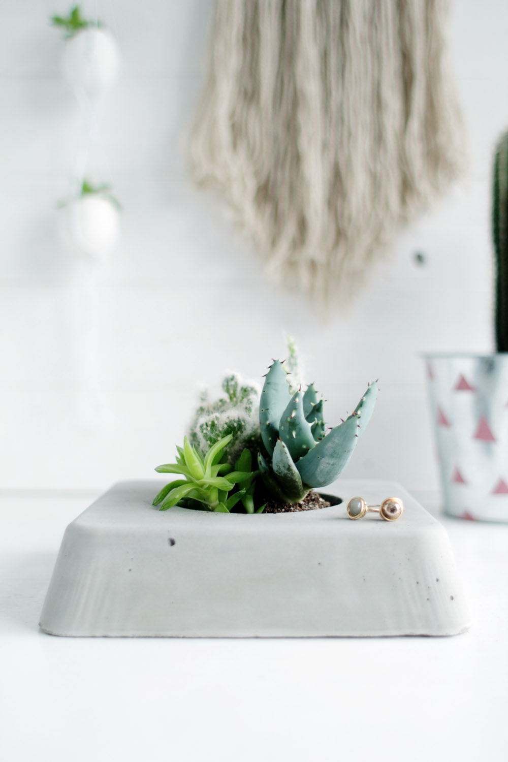 DIY Concrete Succulent Planter Centerpiece