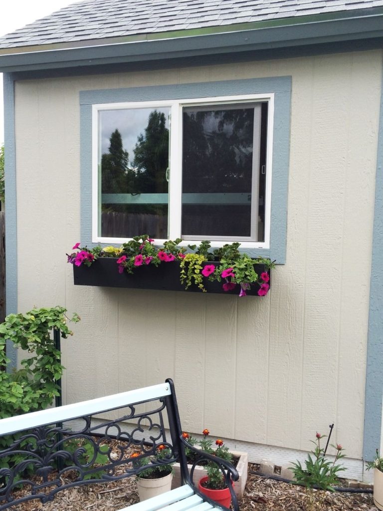 Planting a Window Box