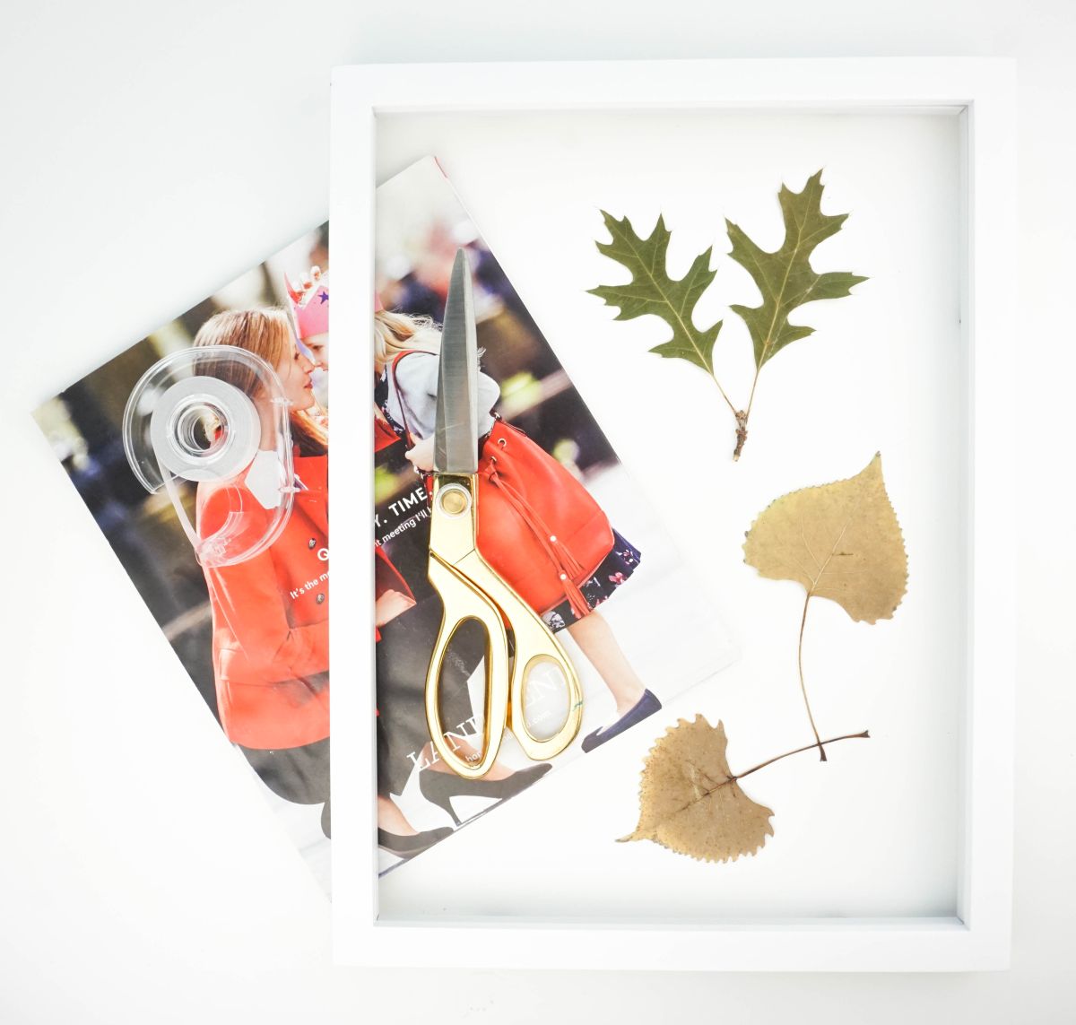 Autumnal Pressed Leaf Art Materials