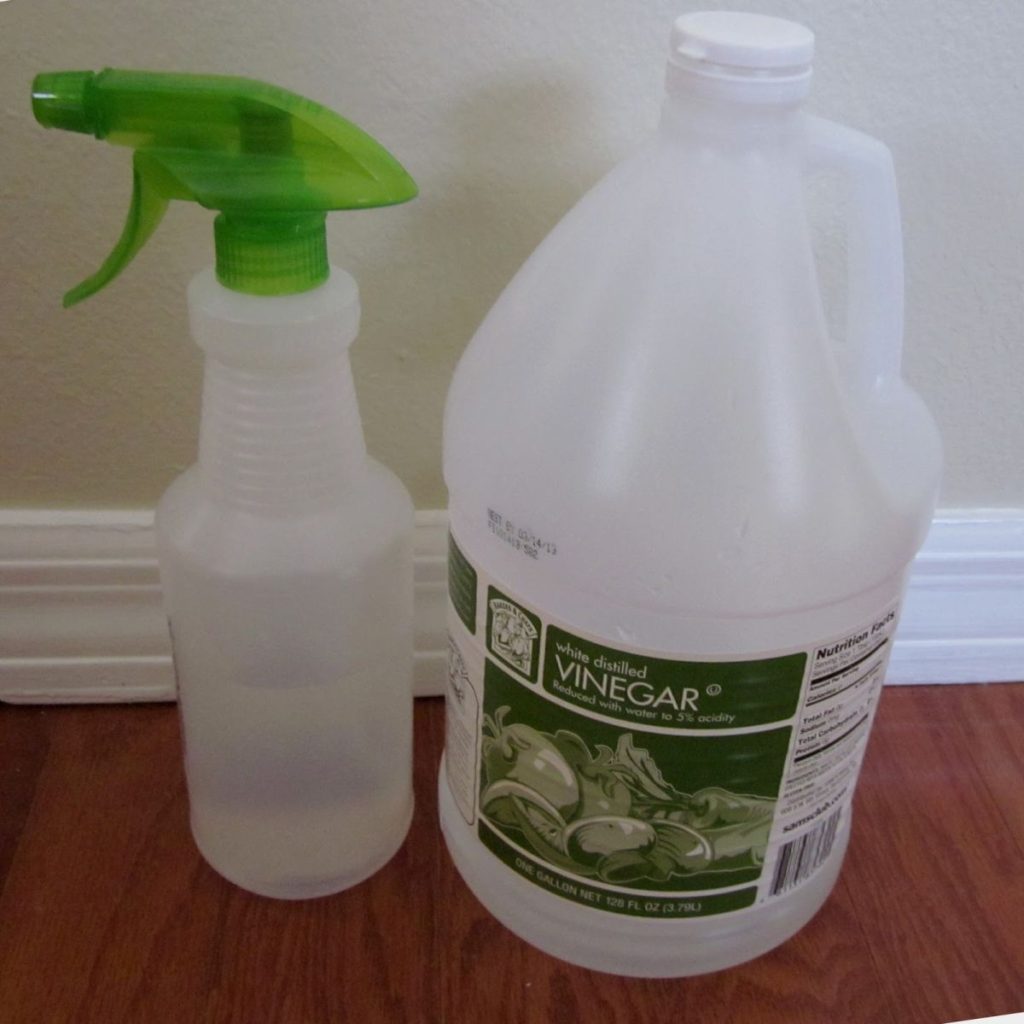 How To Clean Your Shower Head Easily And Effectively