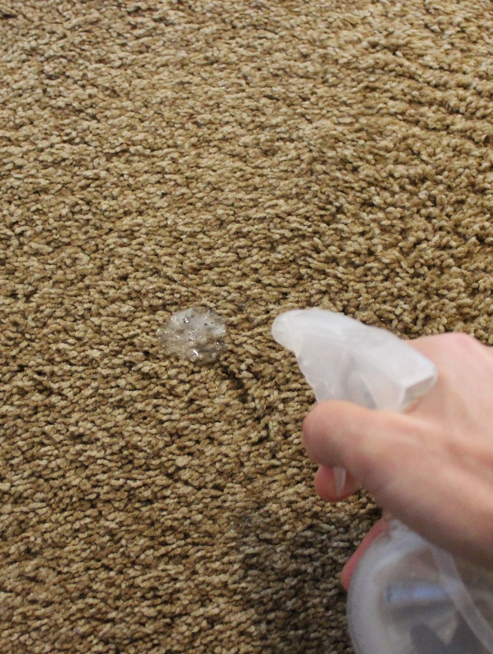 DIY Carpet Cleaner - czyszczenie punktowe