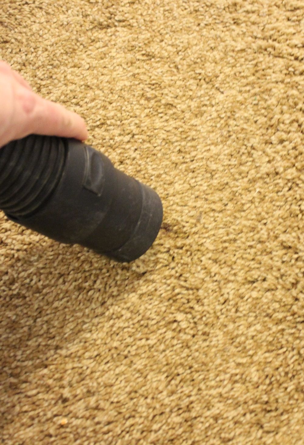 DIY Carpet Cleaner - vacuum