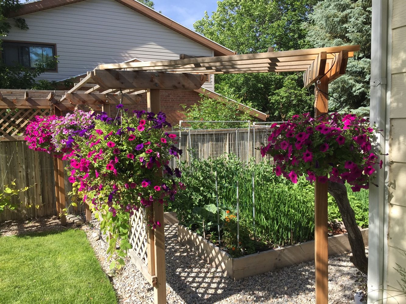 DIY Flower Bed Starts- colorful hanging plants