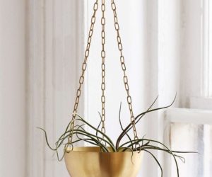 20 Pretty Pots to Refresh Your Succulents