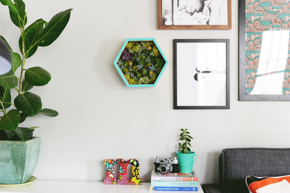 DIY Succulent Wall Planter Decorate