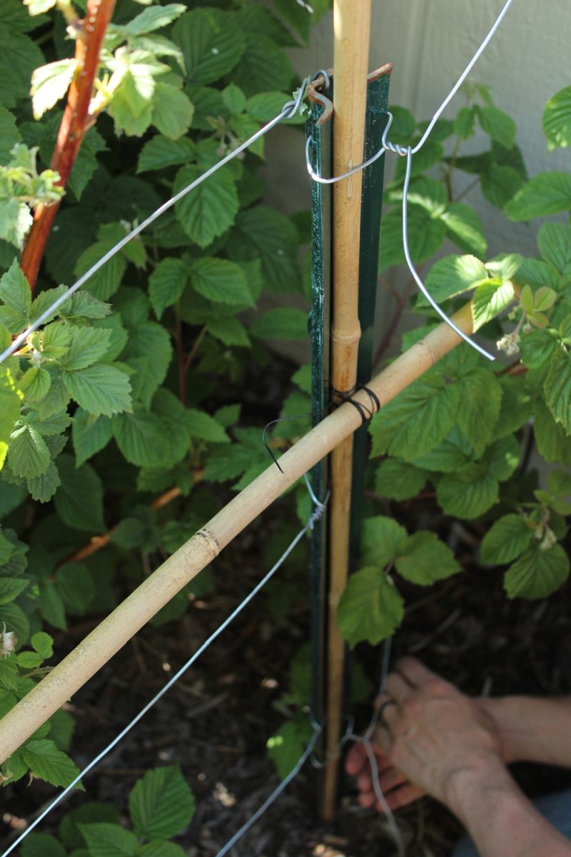 DIY Bamboo Plant Support Fence garden project