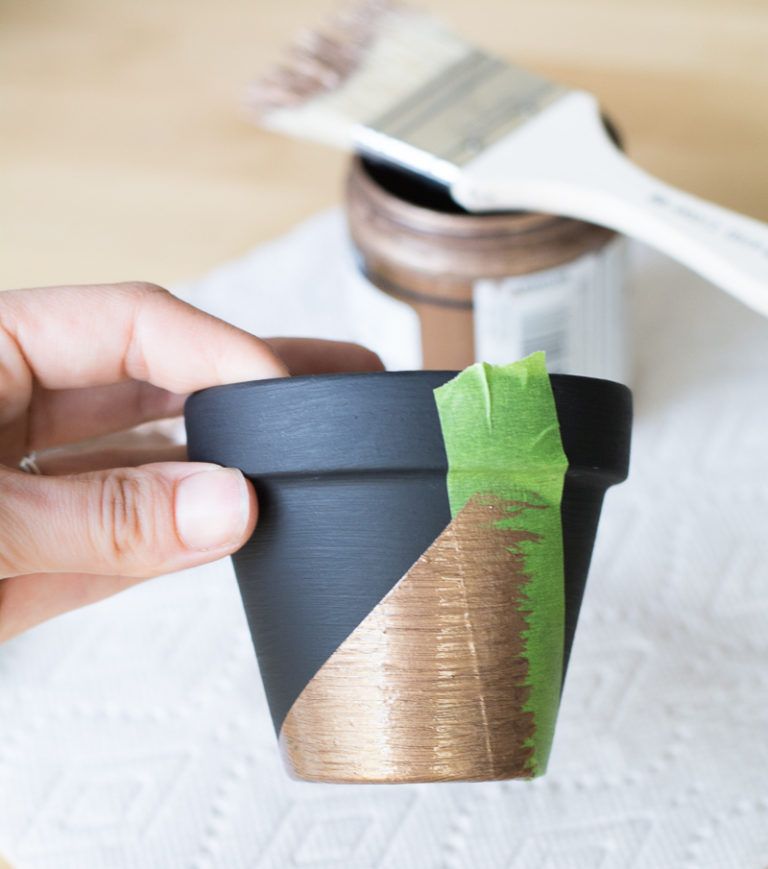 Modern Mini Painted Plant Pots Dry