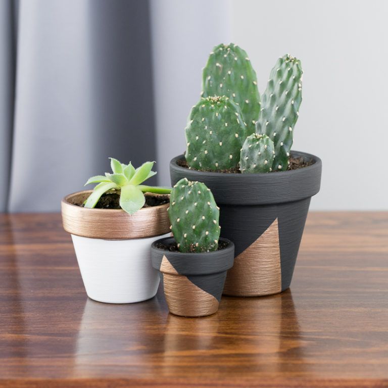  Modern  Mini Painted Plant  Pots 