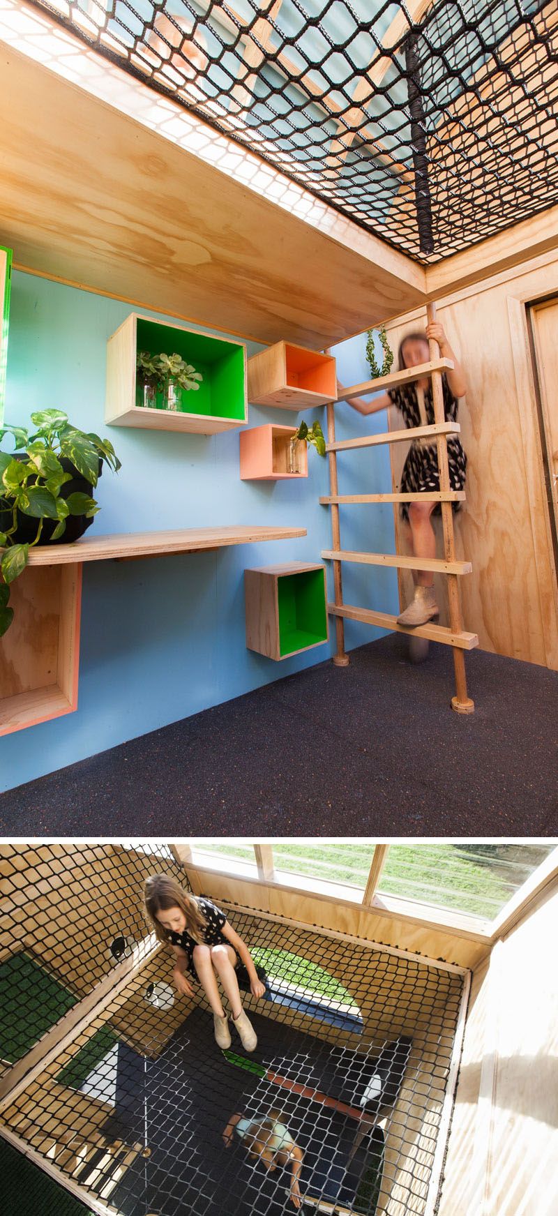 Colorful Shelves and plants