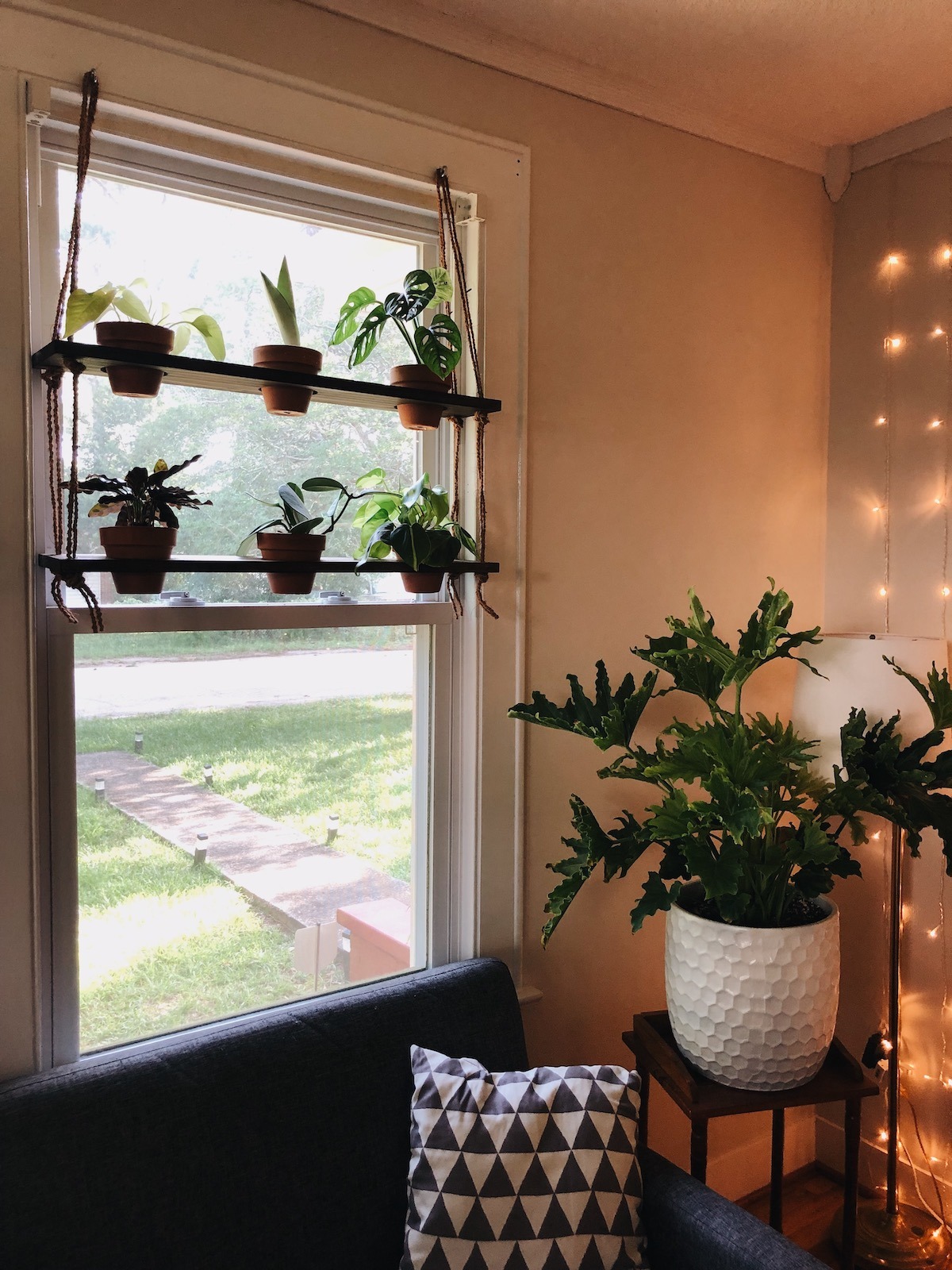 window plant stands indoor