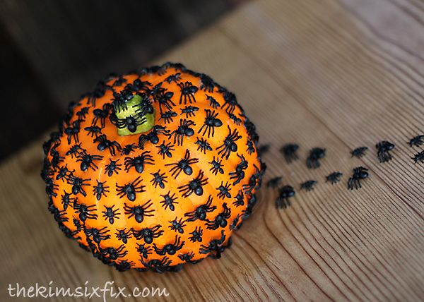 Bugs and spider pumpkin