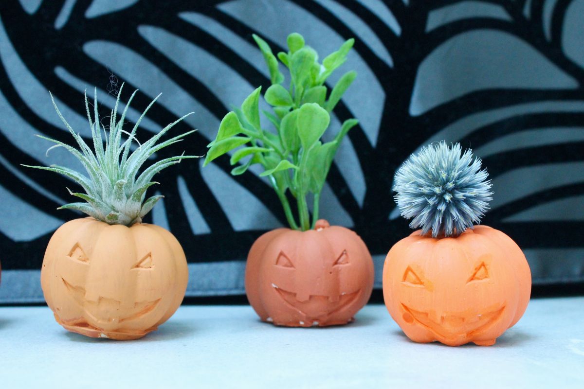 Halloween Pumpkin Air Plant Holders - Display