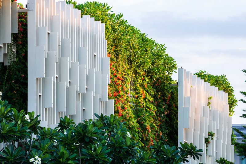 Naman Spa Covered In Hanging Gardens