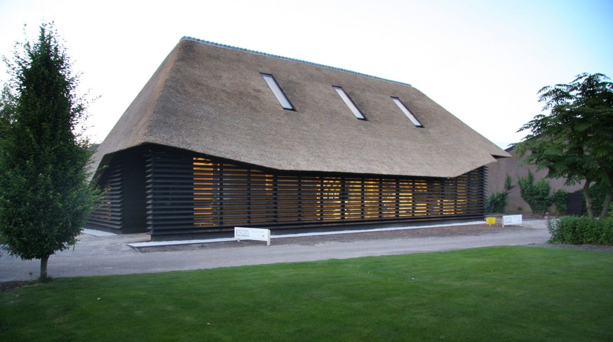 House with thatched roof design