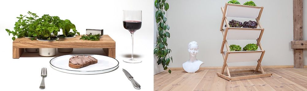 Indoor Herb Concept