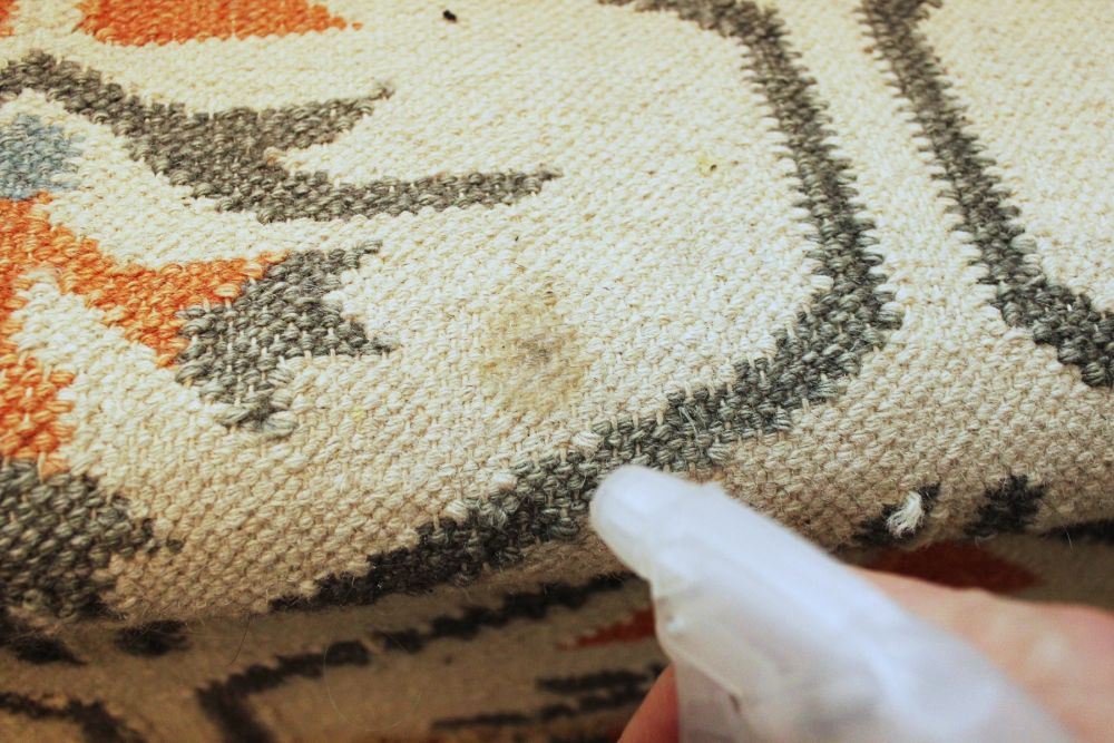 How to Clean Area Rugs entryway carpet