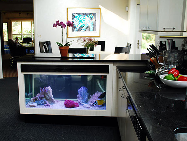 Your Kitchen Peninsula Can House Your Pets