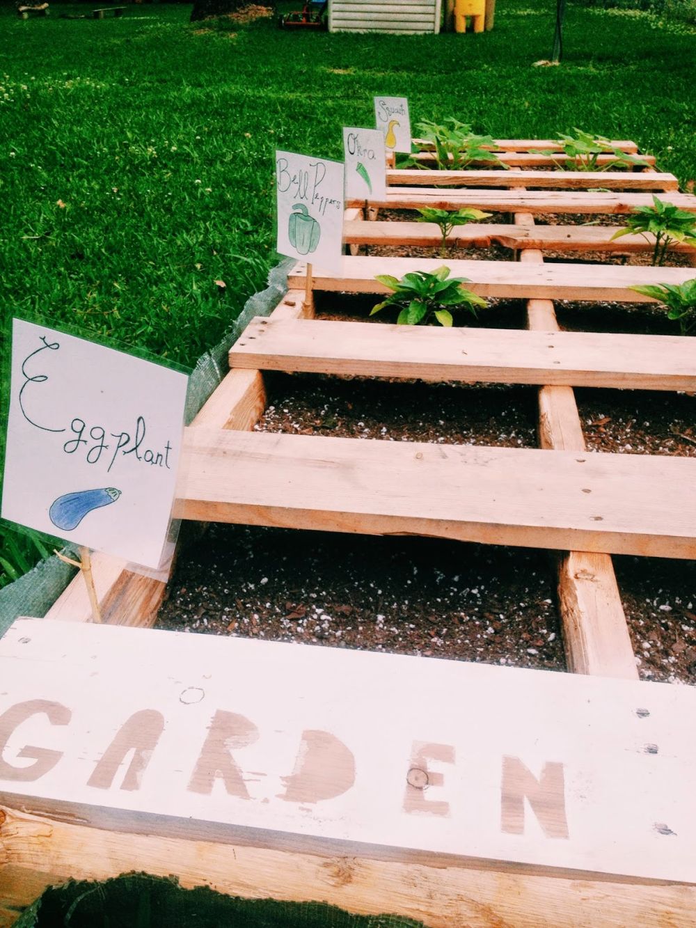 Build a Pallet Planter Vegetable Garden