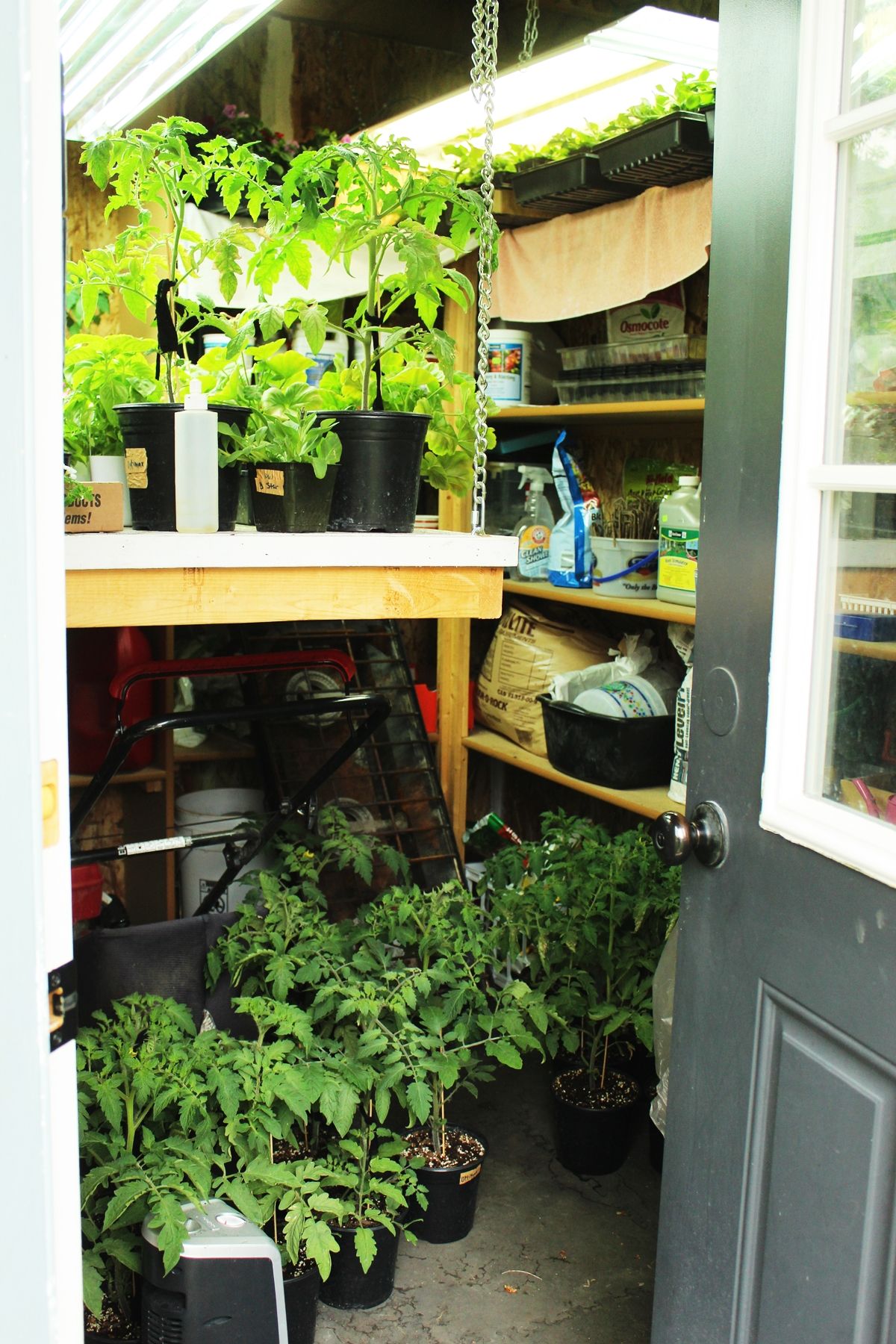 Raised Garden Box indoor