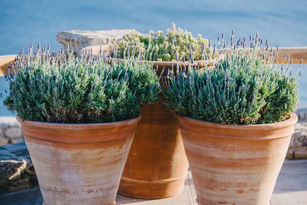 Rustic clay pots of lavender accent the outdoors and highlight the Mediterranean atmosphere.