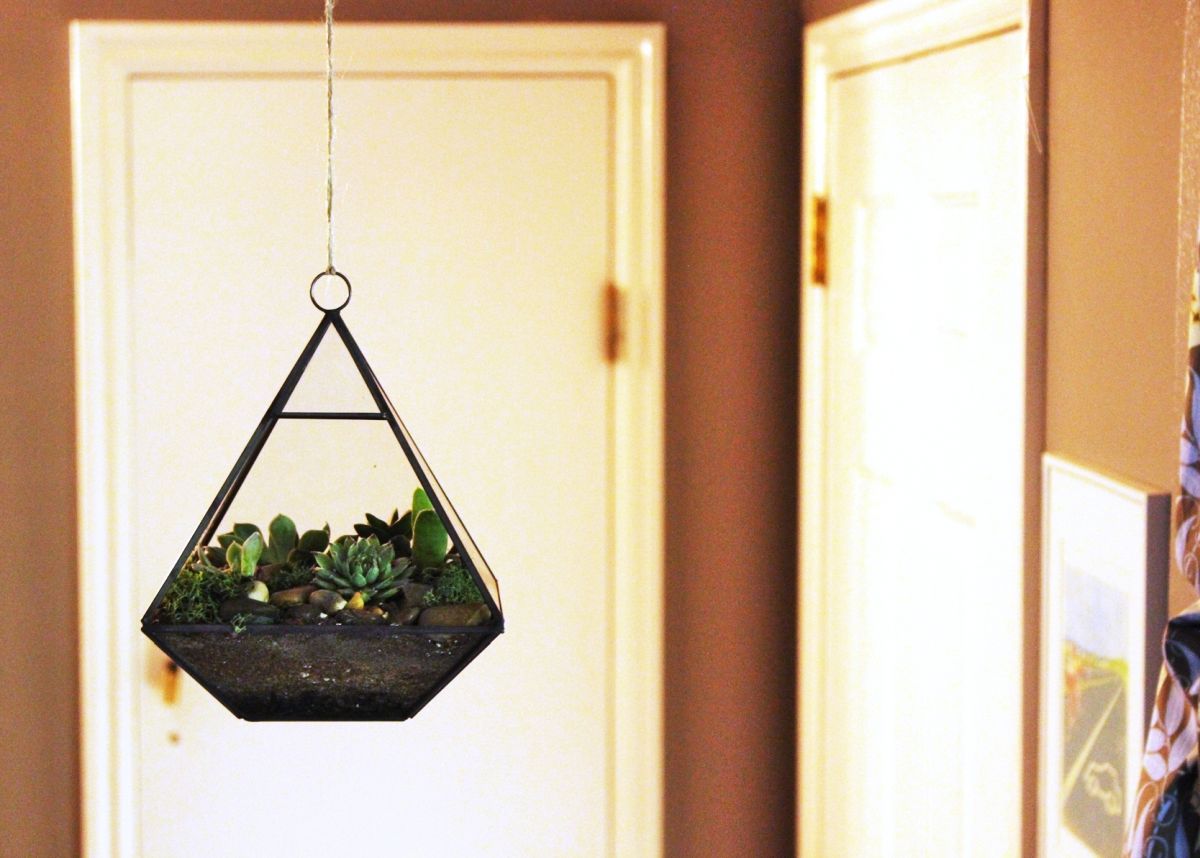 DIY terrarium tutorial