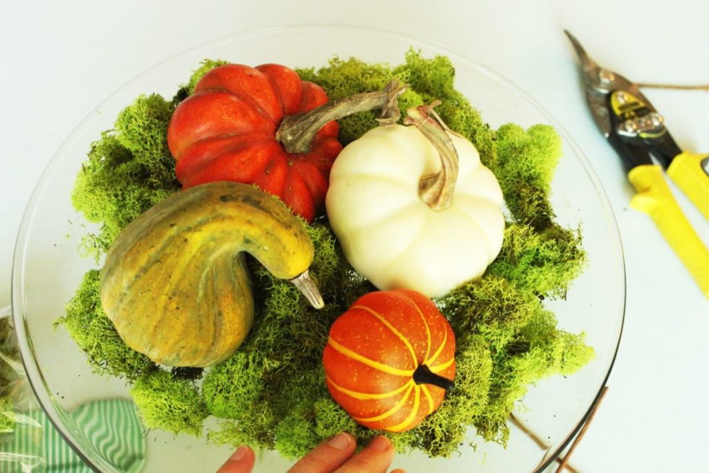 DIY Fall Pumpkin Terrarium