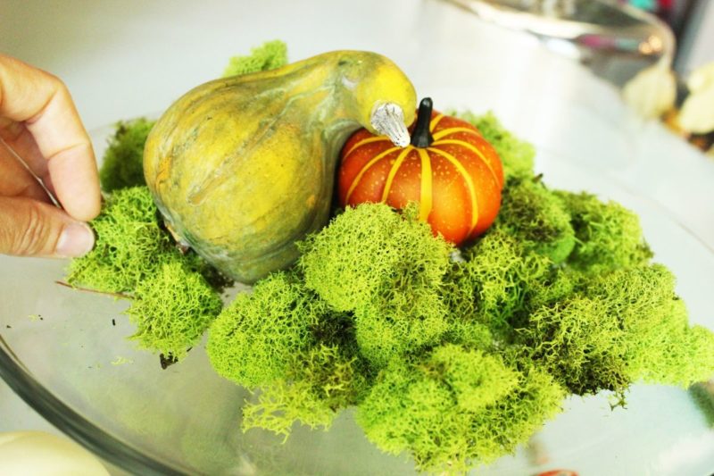 DIY Fall Pumpkin Terrarium