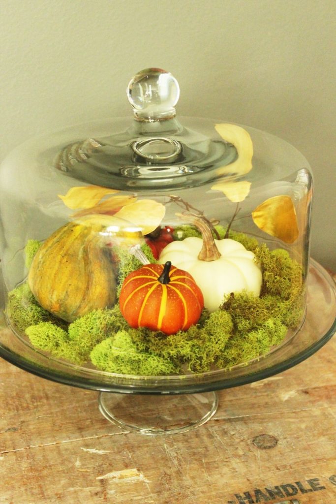 DIY Fall Pumpkin Terrarium