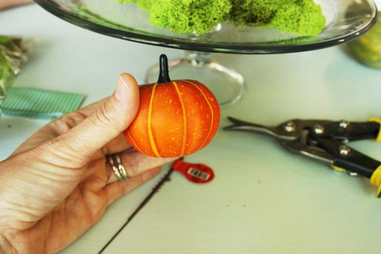 DIY Fall Pumpkin Terrarium