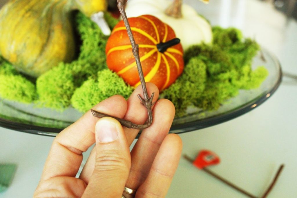 DIY Fall Pumpkin Terrarium