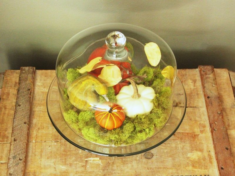 DIY Fall Pumpkin Terrarium