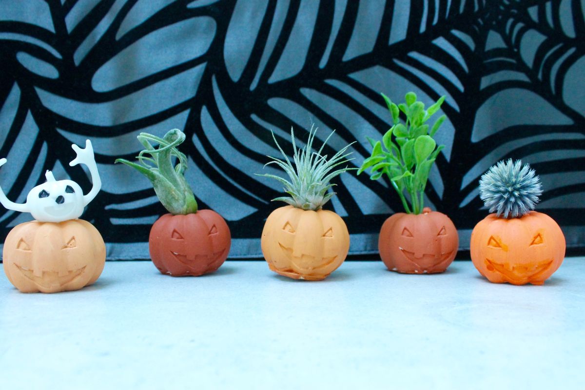 Pumpkin Air Plant Holders