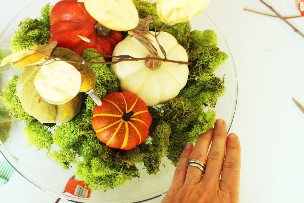 DIY Fall Pumpkin Terrarium