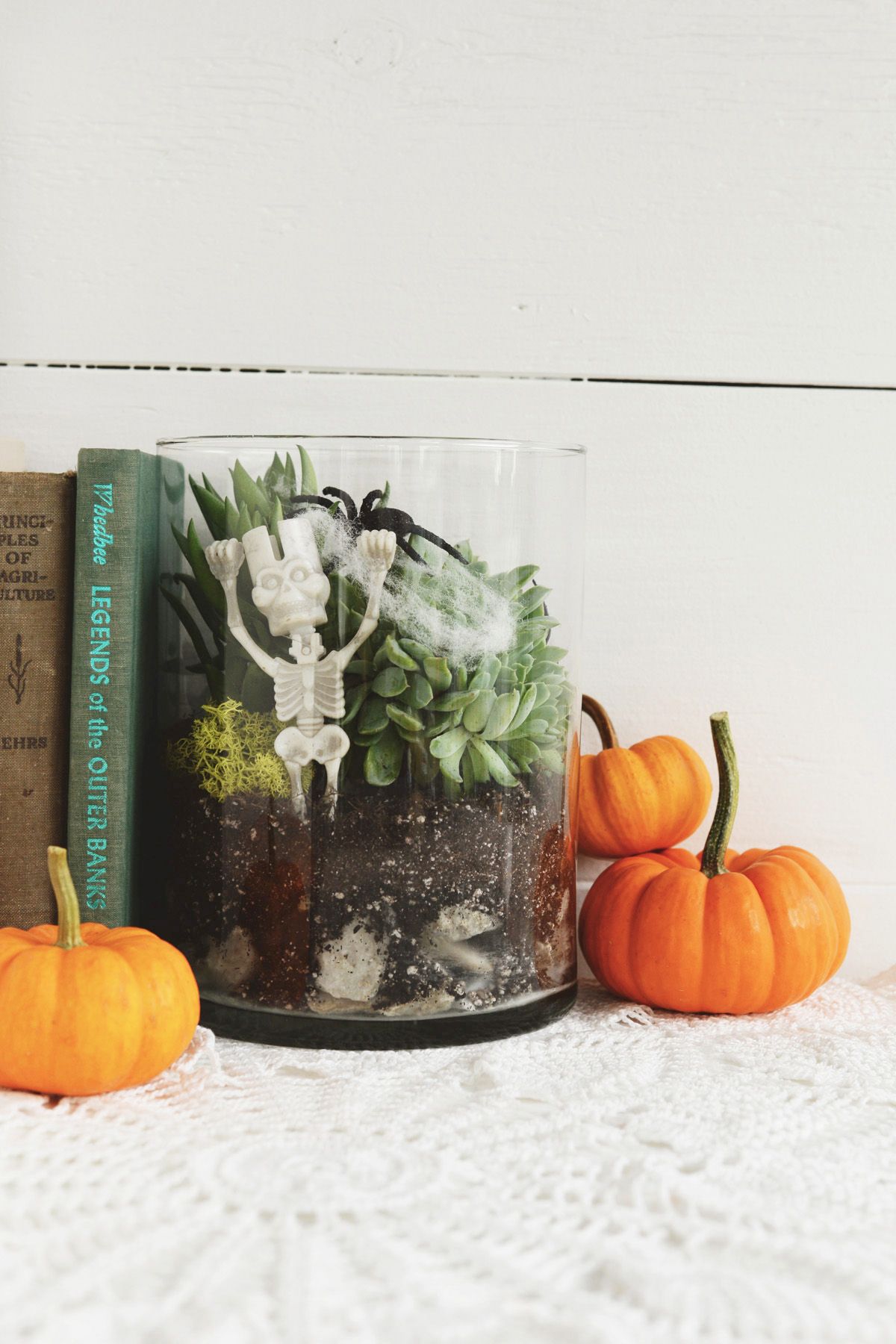 DIY Spooky Terrarium