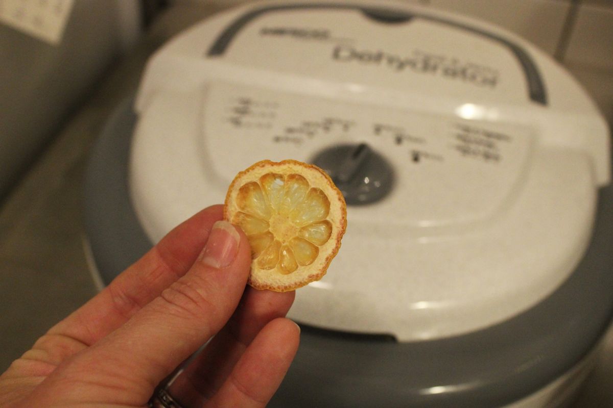 DIY Natural Christmas Tree Ornaments-Run the dehydrator on 135F