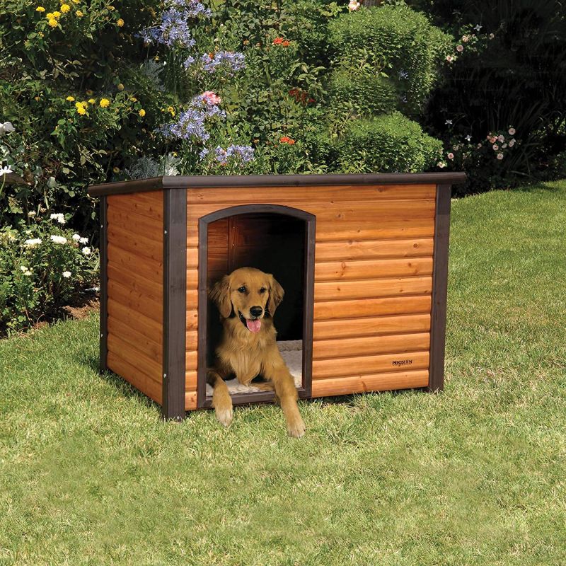 A Miniature Log Cabin